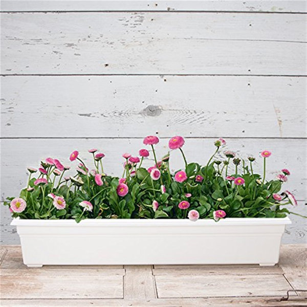 Arlmont Co Plastic Planter Box Wayfair   Plastic Planter Box 